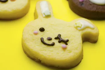 体験教室等イベント